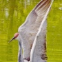 _V3D6385 - Version 2